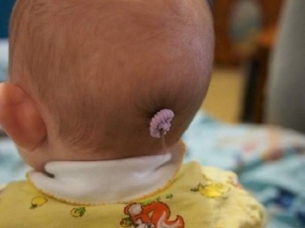 Фотографии проказников, на минуту оставшихся без родителей Фотографии проказников, на минуту оставшихся без родителей