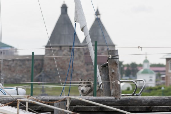 Почему Россия сегодня так привлекательна для китайцев?