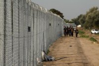 Венгрия начала строительство стены от беженцев на границе с Хорватией
