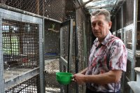 Луганские попугаи до сих пор в шоке от войны, но ждут, что все наладится — владелец птичьего питомника в ЛНР
