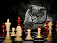 Попробуем предсказать результат переговоров Путина и Обамы