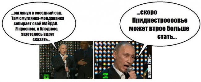 Немного сливных картинок для настроения