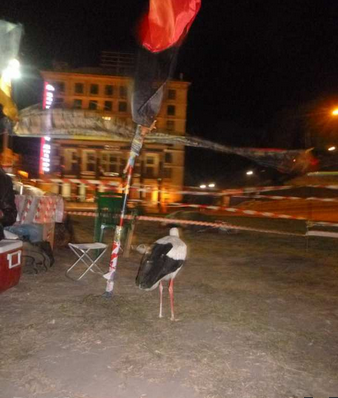 Будни европейской столицы: на майдане «правосеки» вступили в конфликт из-за прилетевшего в их табор аиста, которого рвало копчеными сосисками Будни европейской столицы: на майдане «правосеки» вступили в конфликт из-за прилетевшего в их табор аиста, которого рвало копчеными сосисками