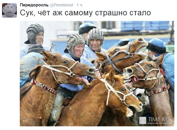 "Мыздобулы" в картинках. Смешных и не очень... 3-10-2015