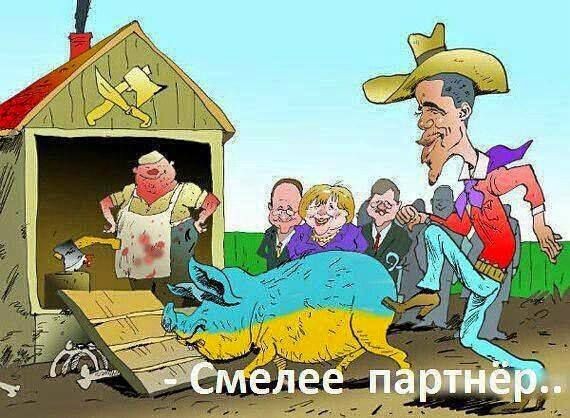 "Мыздобулы" в картинках. Смешных и не очень... 3-10-2015