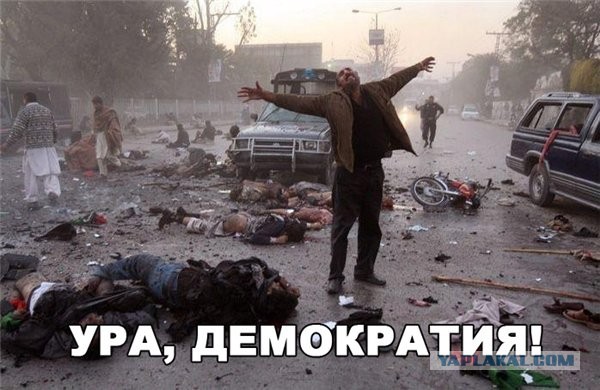 "Мыздобулы" в картинках. Смешных и не очень... 3-10-2015
