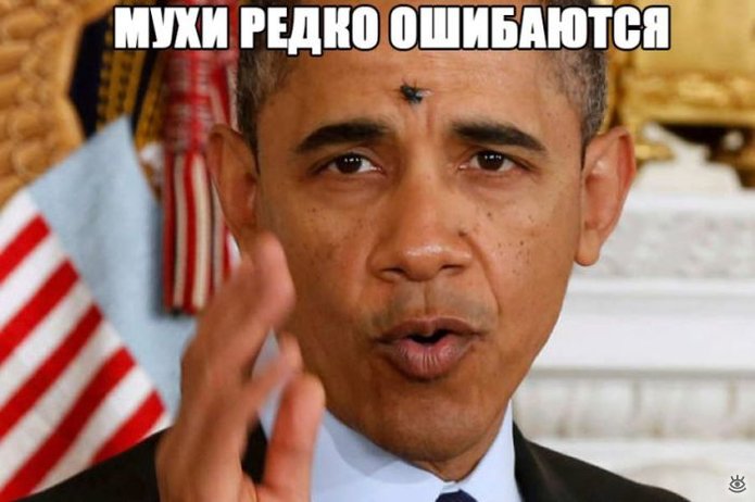 "Мыздобулы" в картинках. Смешных и не очень... 3-10-2015