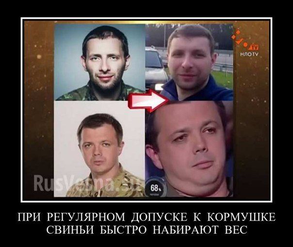 "Мыздобулы" в картинках. Смешных и не очень... 3-10-2015
