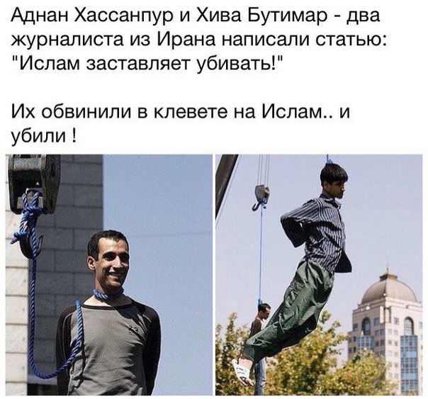 "Мыздобулы" в картинках. Смешных и не очень... 3-10-2015