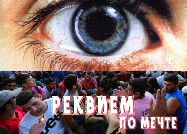 Реквием по мечте Реквием по мечте