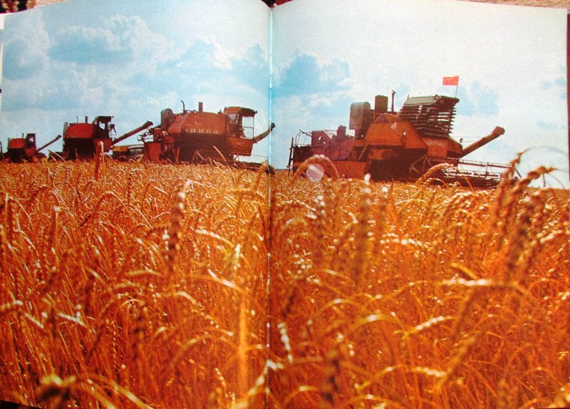 Про Украину: «Какую республику шикарную свидомые в г… превратили» Про Украину: «Какую республику шикарную свидомые в г… превратили»