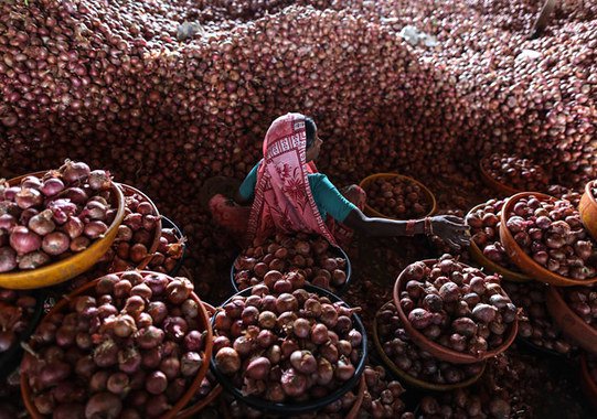 Горе луковое Горе луковое