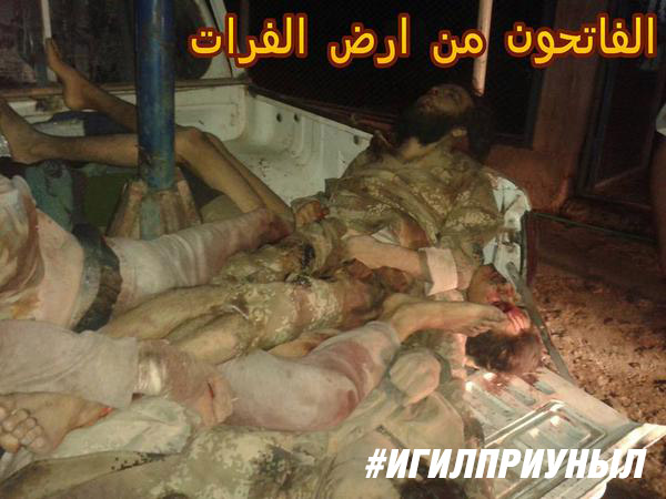 "Мыздобулы" в картинках. Смешных и не очень... 11-10-2015