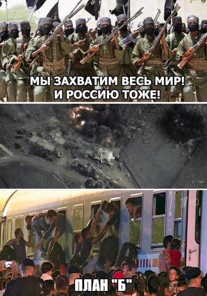 "Мыздобулы" в картинках. Смешных и не очень... 11-10-2015