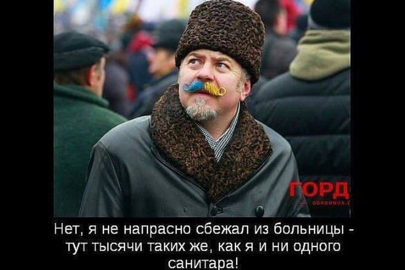 "Мыздобулы" в картинках. Смешных и не очень... 11-10-2015