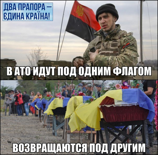 "Мыздобулы" в картинках. Смешных и не очень... 11-10-2015