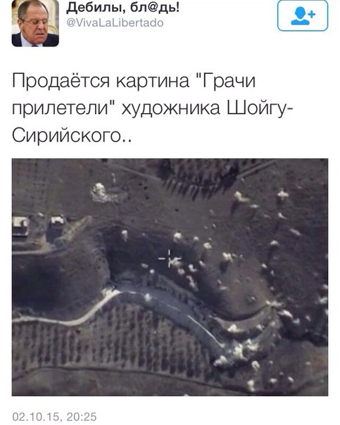 "Мыздобулы" в картинках. Смешных и не очень... 11-10-2015