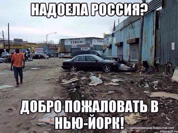 "Мыздобулы" в картинках. Смешных и не очень... 11-10-2015