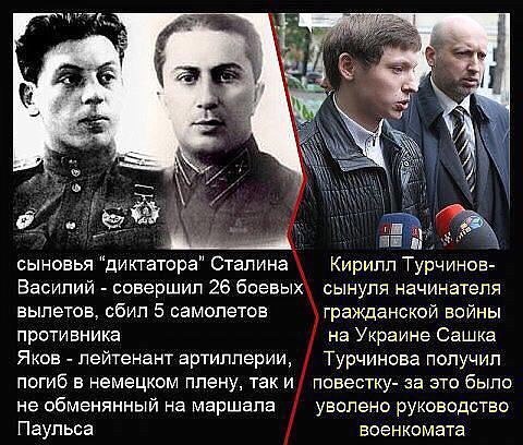 "Мыздобулы" в картинках. Смешных и не очень... 11-10-2015