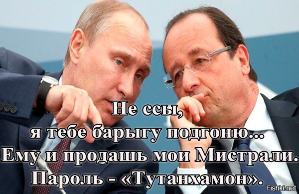 "Мыздобулы" в картинках. Смешных и не очень... 11-10-2015