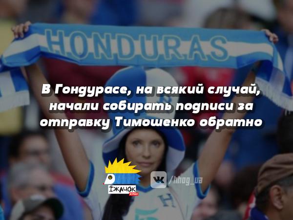 "Мыздобулы" в картинках. Смешных и не очень... 11-10-2015