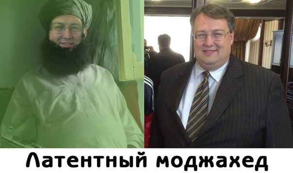 "Мыздобулы" в картинках. Смешных и не очень... 11-10-2015