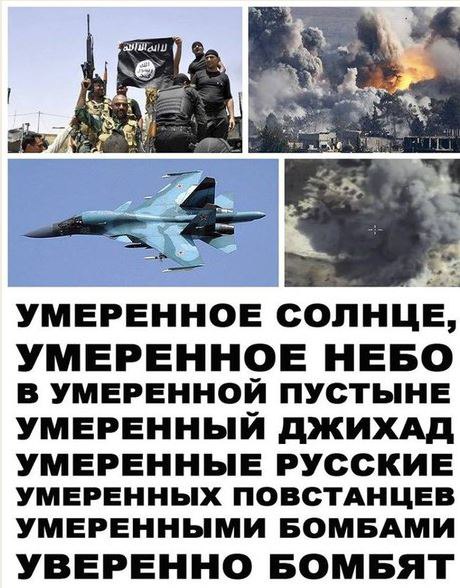 "Мыздобулы" в картинках. Смешных и не очень... 11-10-2015