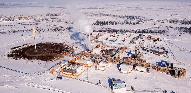 Клюква на развес по-арабски: русские сошлют боевиков в Сибирь и там скормят медведям