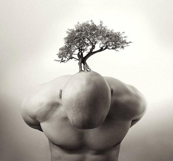 Политинформация в стихах