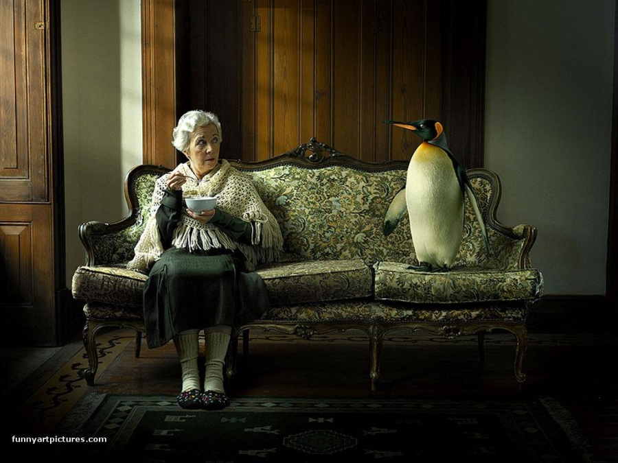 Американские пенсионные фонды перекладываются в рубли