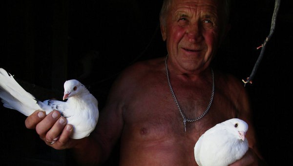 Сводки от ополчения Новороссии 16.10.2015 Сводки от ополчения Новороссии 16.10.2015