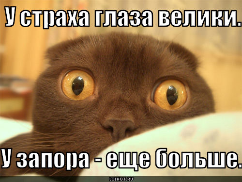 У страха глаза велики: Турки опубликовали фото сбитого "неопознанного самолёта"