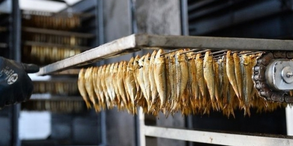 Росрыболовство: на рынке РФ прибалтийские шпроты заменили крымскими Росрыболовство: на рынке РФ прибалтийские шпроты заменили крымскими