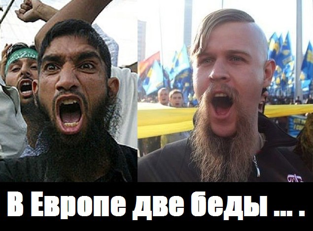 "Мыздобулы" в картинках. Смешных и не очень... 16-10-2015 "Мыздобулы" в картинках. Смешных и не очень... 16-10-2015