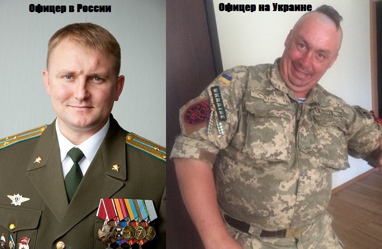 "Мыздобулы" в картинках. Смешных и не очень... 16-10-2015 "Мыздобулы" в картинках. Смешных и не очень... 16-10-2015