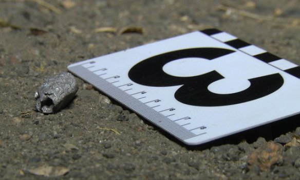 Будни европейской столицы: в Киеве взорвали гранату, повреждены несколько машин Будни европейской столицы: в Киеве взорвали гранату, повреждены несколько машин