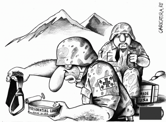 Армия Грузии пообещала поделиться боевым опытом с ВСУ