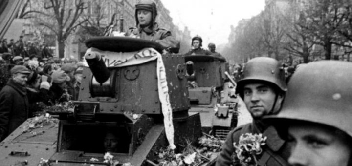 Щеневмерлики прискакали в Европу Щеневмерлики прискакали в Европу