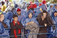 Погода в помощь