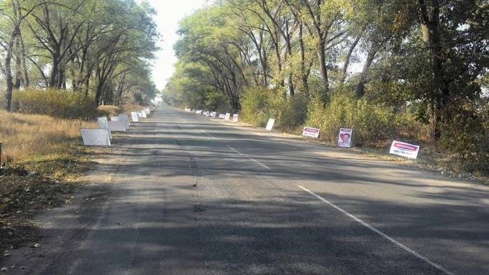 Жги, кандидат! Подборка самых смешных предвыборных билбордов