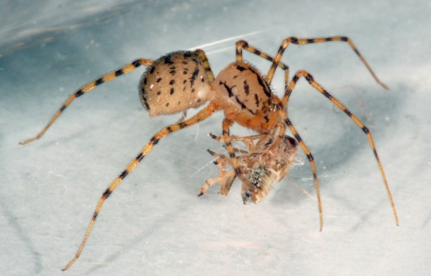 Партия "Яблоко" выиграла суд у Навального Партия "Яблоко" выиграла суд у Навального