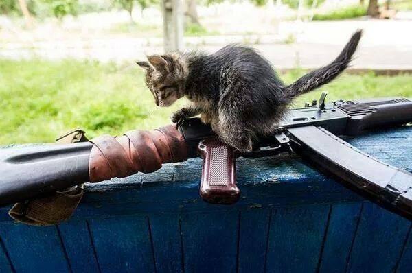 Сводки от ополчения Новороссии 21.10.2015 Сводки от ополчения Новороссии 21.10.2015