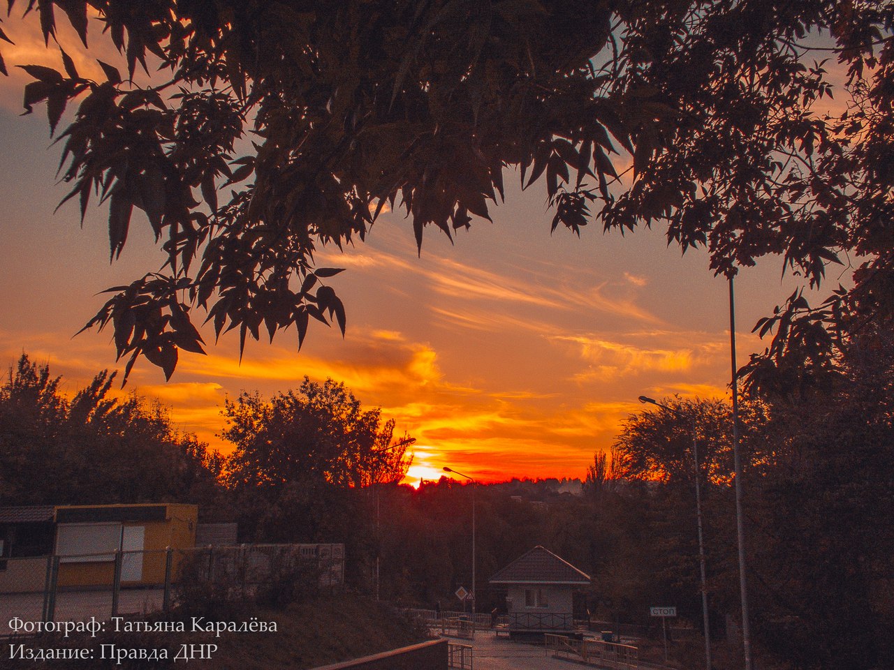 Сводки от ополчения Новороссии 22.10.2015 Сводки от ополчения Новороссии 22.10.2015