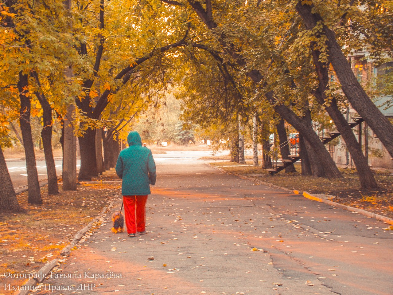 Сводки от ополчения Новороссии 22.10.2015 Сводки от ополчения Новороссии 22.10.2015