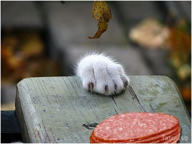 Киевская хунта помогла российской стратегической авиации. Юрий Селиванов Киевская хунта помогла российской стратегической авиации. Юрий Селиванов