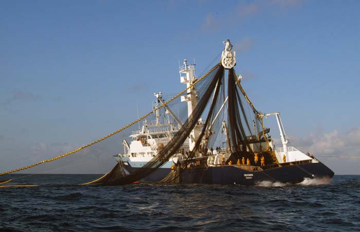 Куда уплыли сомалийские пираты Куда уплыли сомалийские пираты