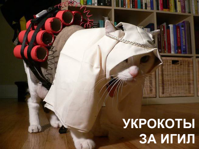 "Мыздобулы" в картинках. Смешных и не очень... 25-10-2015