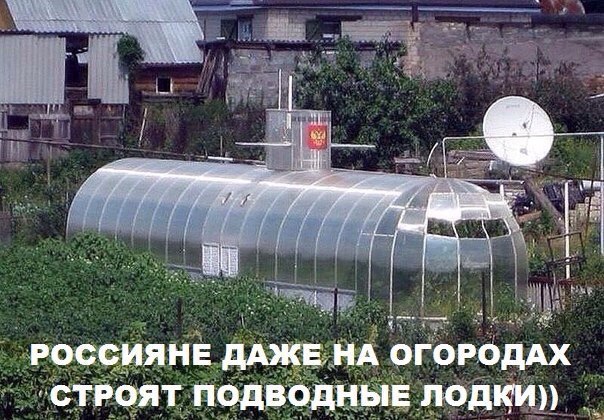 "Мыздобулы" в картинках. Смешных и не очень... 25-10-2015