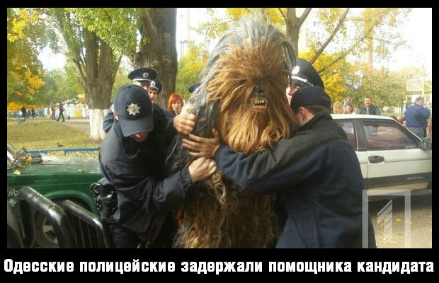 "Мыздобулы" в картинках. Смешных и не очень... 25-10-2015