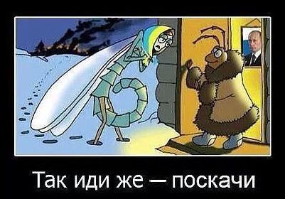 "Мыздобулы" в картинках. Смешных и не очень... 25-10-2015